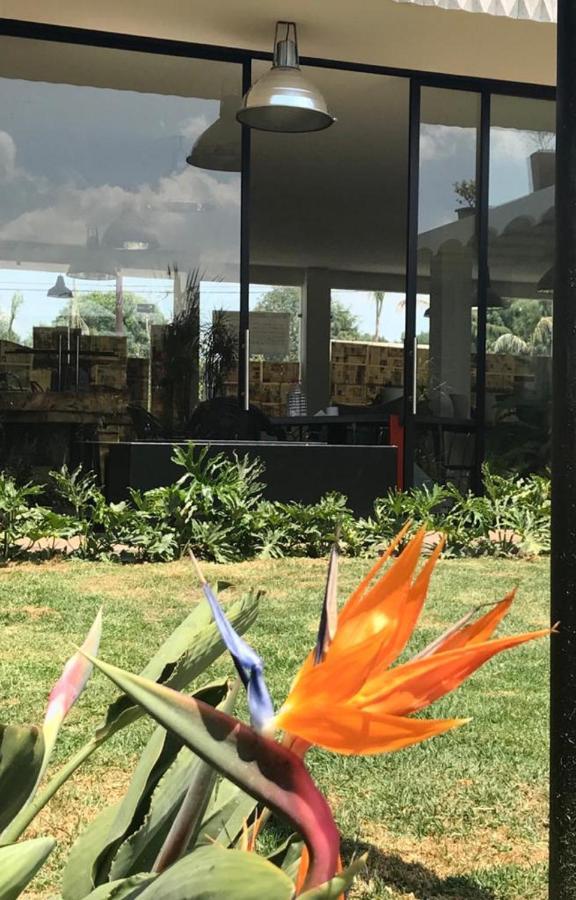 Calido Cosmos Hotel Cholula Exterior photo